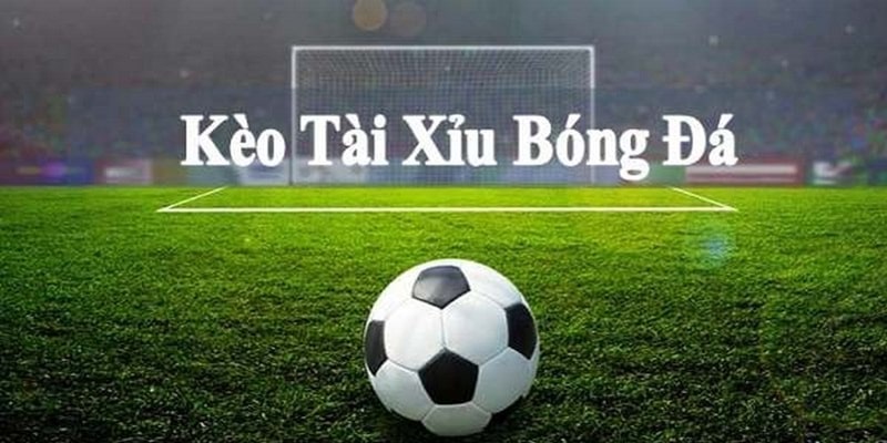 Trong tài xỉu, yếu tố đội giành chiến thắng không dùng để xác định bet thủ clear kèo